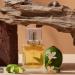 عطور روائح الحمضيات، لمسة من الانتعاش والجاذبية - تواصل نيوز
