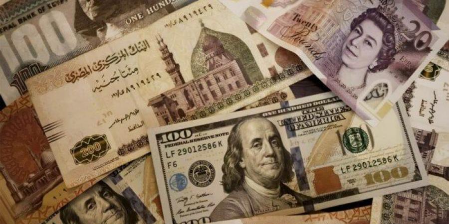 البنك المركزي: 48.526 مليار دولار صافي احتياطي النقد الأجنبي في مصر بنهاية مايو - تواصل نيوز