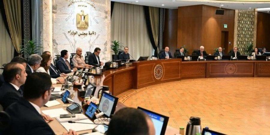 قرار جديد من مجلس الوزراء بشأن تعريفة التغذية الكهربائية لمشروعات توليد الطاقة - تواصل نيوز