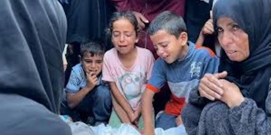 مدير مجمع ناصر الطبي: شهداء خان يونس غالبيتهم أطفال ونساء - تواصل نيوز