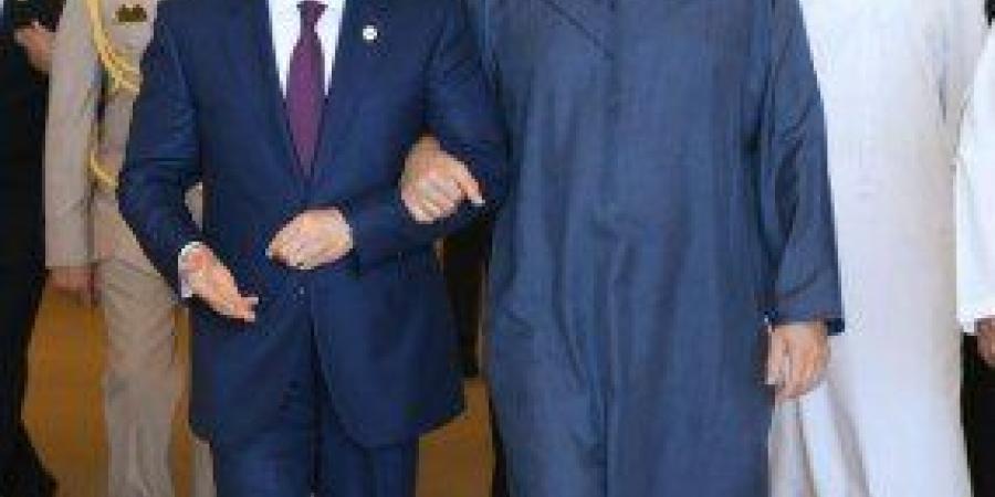 الرئيس المصري والشيخ محمد بن زايد يعقدان اجتماعًا لبحث العلاقات الثنائية بين البلدين وسبل تعزيزها - تواصل نيوز