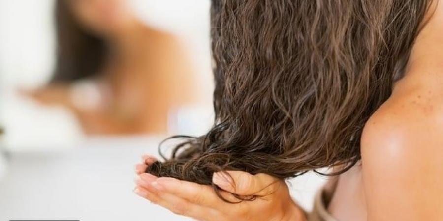 فوائد زيت الزيتون للشعر الجاف واستخداماته - تواصل نيوز
