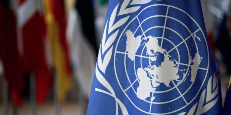 الأمم المتحدة: موجات حر غير مسبوقة شهدها جنوب غرب المحيط الهادئ في 2024 - تواصل نيوز