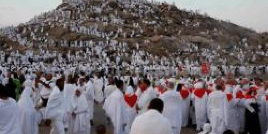 أمن الحج يضبط مقيمًا إندونيسيًا حاول تهريب 47 مخالفًا إلى مكة بلا تصريح - تواصل نيوز
