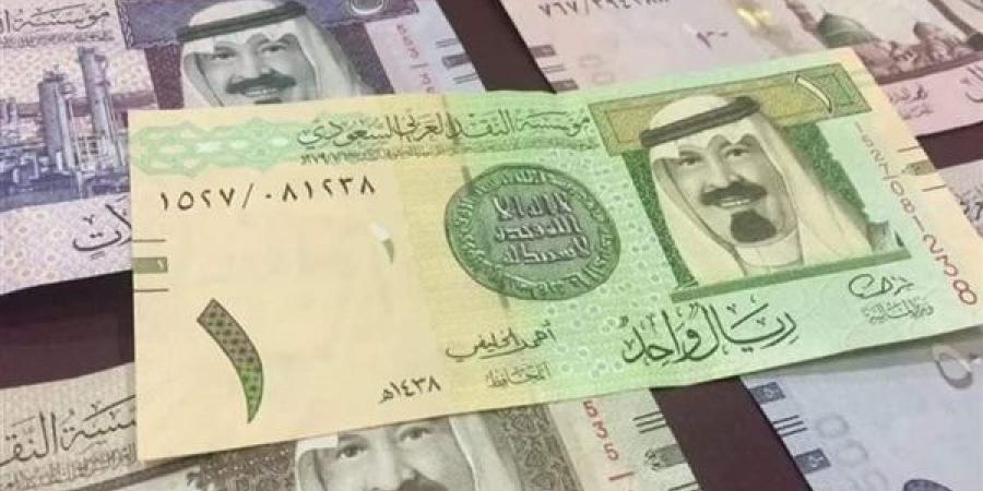 الريال السعودى يسجل 13.18 جنبه فى البنك الاهلى مع بداية تعاملات اليوم - تواصل نيوز