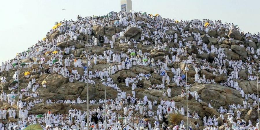 رئيس بعثة الحج: تقديم كافة التسهيلات والخدمات لحجاج القرعة في عرف - تواصل نيوز