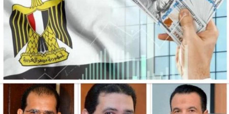 الحكومة تتوسع فى برنامج الطروحات - تواصل نيوز
