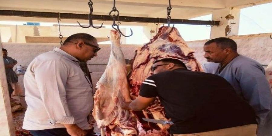 إعدام 82 كيلو لحوم ومواد غذائية غير صالحة وتحرير محاضر في حملات تموينية بأسوان - تواصل نيوز