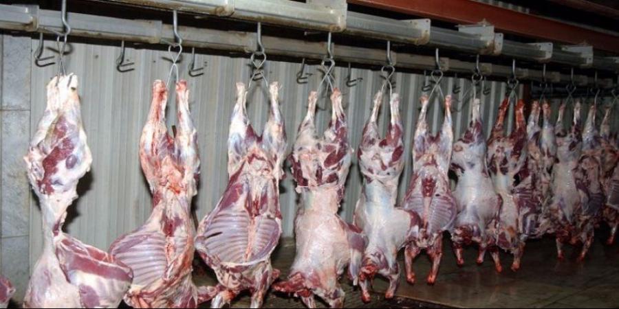 مجازر القاهرة تفتح أبوابها مجانا لذبح الأضاحي طوال أيام العيد - تواصل نيوز