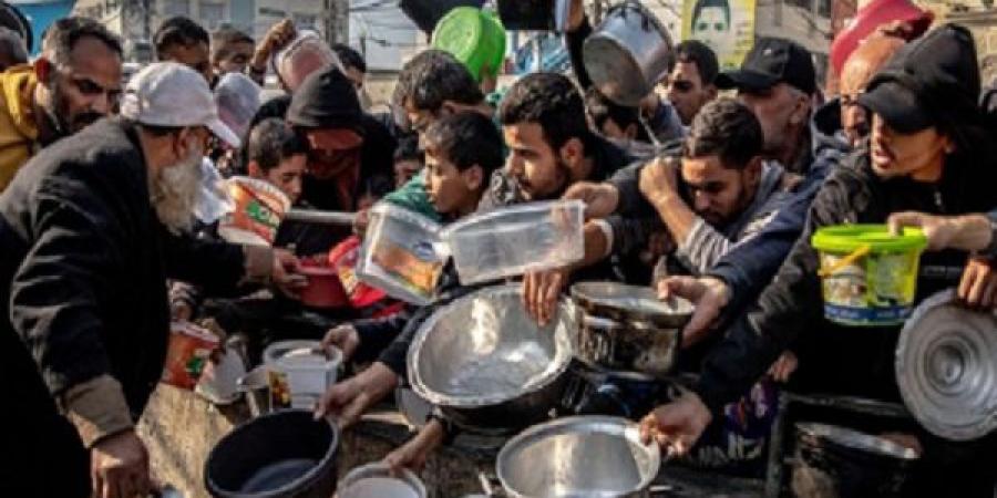 طبيبة أمريكية: ادعاء إسرائيل السماح بدخول المساعدات للقطاع غير صحيح - تواصل نيوز