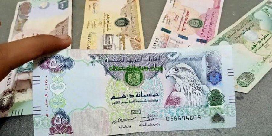 الدرهم الاماراتى يسجل 13.49 جنيه فى البنك المركزى المصرى مع بداية تعاملات اليوم - تواصل نيوز