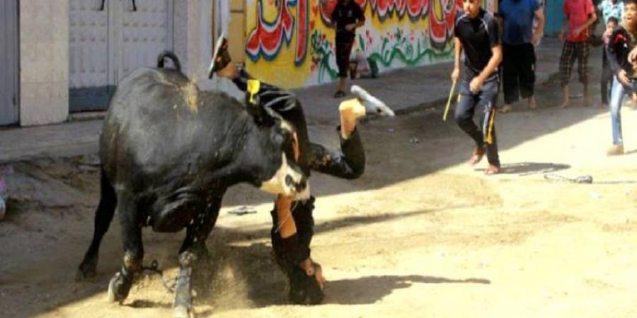 دونالد ترامب إيلون ماسك مخدرات - تواصل نيوز