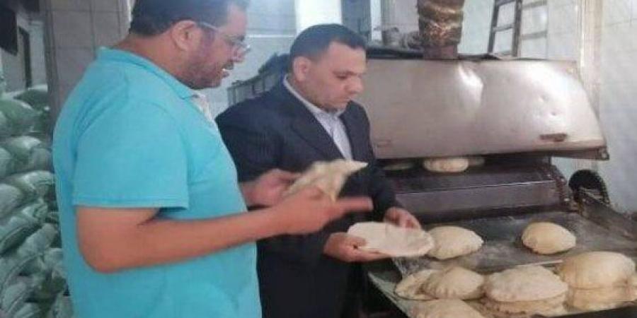 «تموين الإسكندرية» تحرير 14 محضرا ضد المخالفين في ثاني أيام عيد الأضحى المبارك - تواصل نيوز