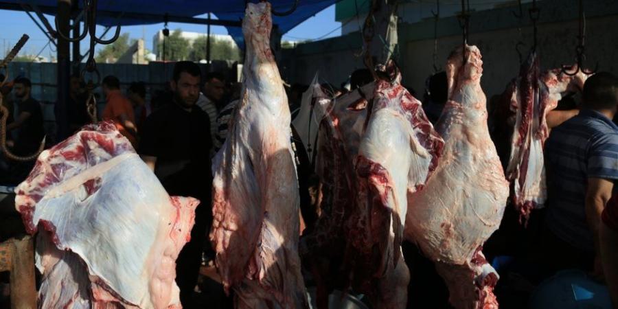 التعجيل مستحب.. الإفتاء توضح آخر موعد يجوز فيه ذبح الأضاحى - تواصل نيوز