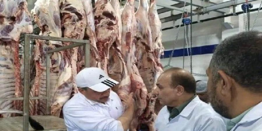 بيطرى الشرقية: ذبح 1129 أضحية بالمجان - تواصل نيوز
