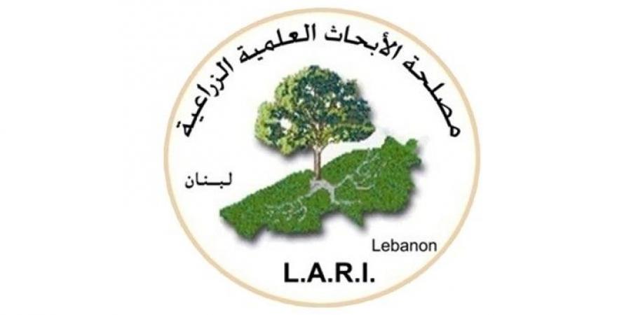 مصلحة الأبحاث العلمية أصدرت تعليمات لمواجهة موجة الحر وحذرت من اندلاع الحرائق - تواصل نيوز