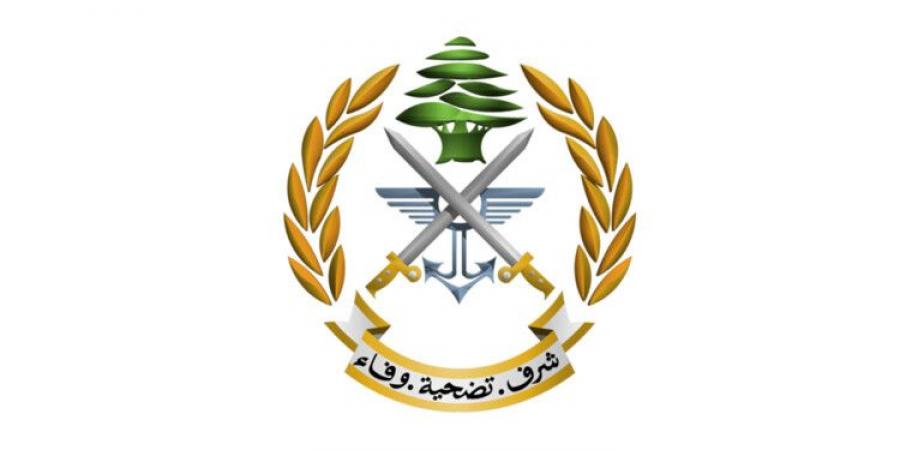 الجيش حذّر من تجميد تعاونه مع لجنة وقف إطلاق النار بشأن الكشف على الموقع مع استمرار الاعتداءات الإسرائيلية - تواصل نيوز