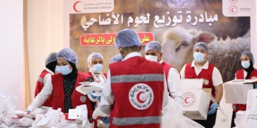 الهلال الأحمر المصري يوزع أضاحي العيد على الأسر الأولى بالرعاية - تواصل نيوز