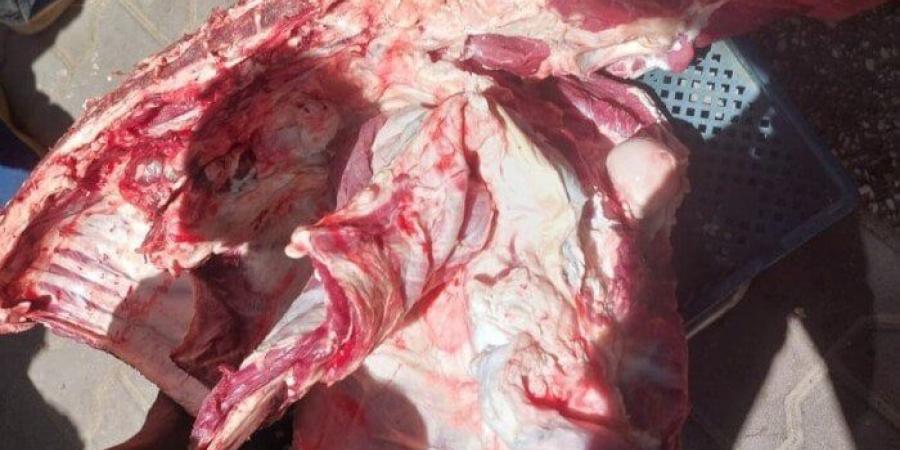 ضبط لحوم مذبوحة خارج المجازر وتحرير 317 محضرًا تموينيًا بأسيوط - تواصل نيوز