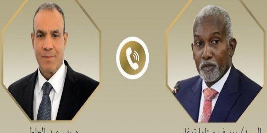 مصر ونيجيريا تبحثان سبل تعزيز العلاقات المشتركة - تواصل نيوز
