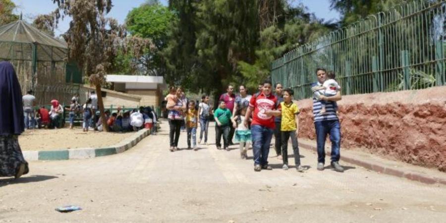 تعرف على موعد افتتاح حديقة حيوان الجيزة بعد انتهاء أعمال التطوير - تواصل نيوز