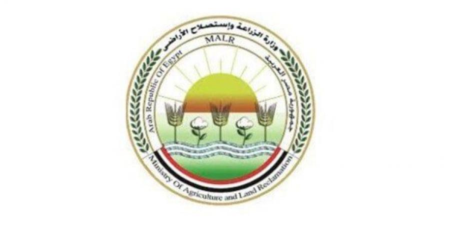 «الزراعة»: ذبح أكثر من 20 ألف أضحية بالمجازر الحكومية خلال أول وثاني أيام العيد - تواصل نيوز