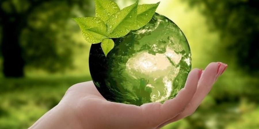 يوم البيئة العالمي: تبدأ حماية الكوكب بك - تواصل نيوز
