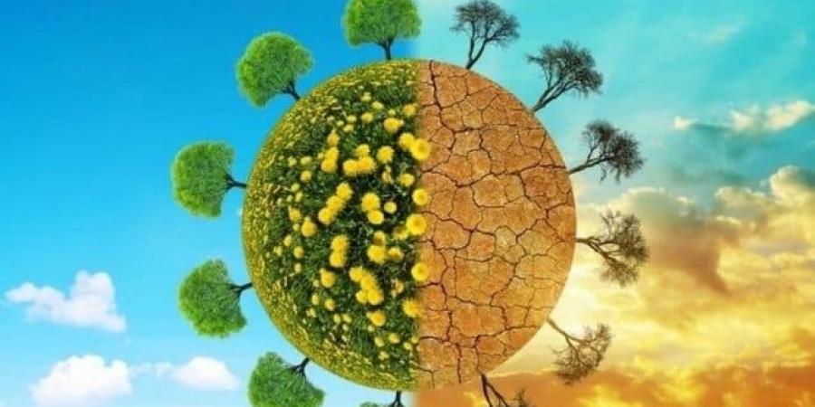 في يوم البيئة العالمي: أبيات شعر عن جمال البيئة - تواصل نيوز