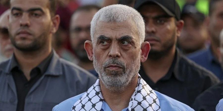 رسميًا .. إسرائيل تعلن انتشال جثمان محمد السنوار في غزة - تواصل نيوز