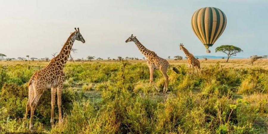 10 من أفضل رحلات المنطاد في العالم.. مصر ضمن القائمة - تواصل نيوز