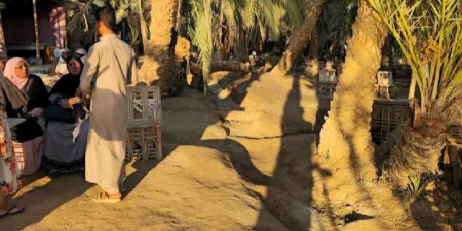 جزيرة فطناس بسيوة مقصد سياحي للاجانب لمشاهدة غروب الشمس - تواصل نيوز