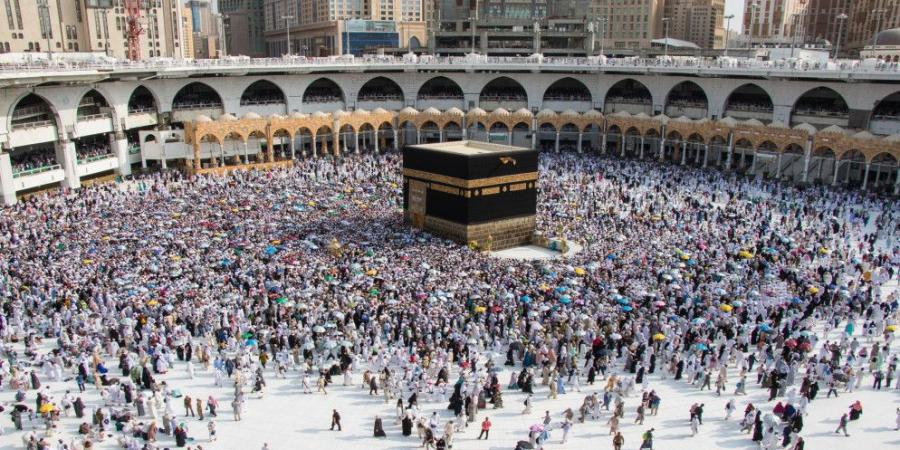 مكافحة الأوبئة والدولية للهجرة يطلقان حملة توعوية تستهدف الحجاج العائدين - تواصل نيوز