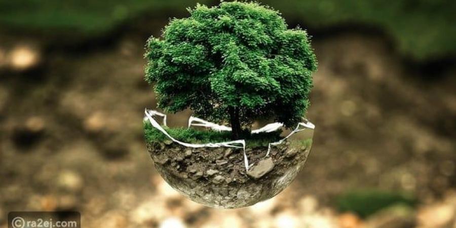 يوم البيئة العالمي: في بذور اليوم كل أزهار المستقبل - تواصل نيوز