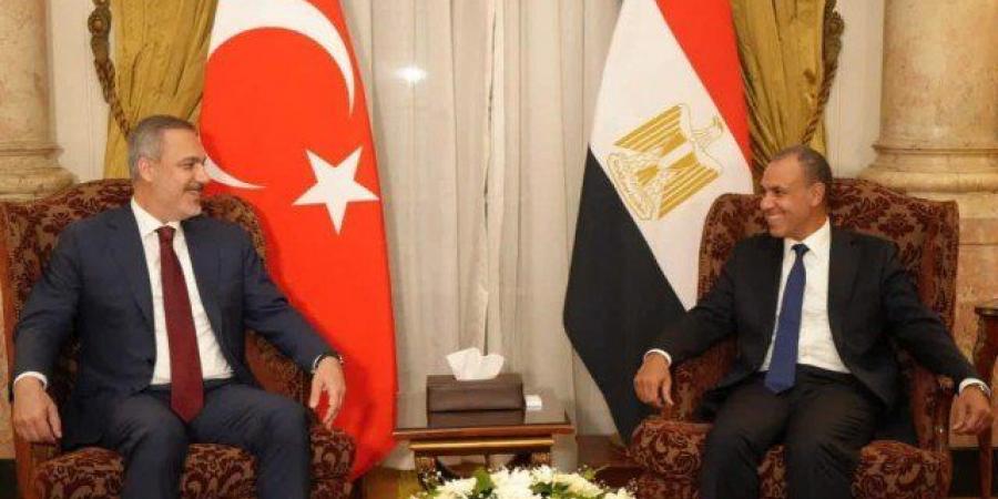 وزير الخارجية المصري يبحث مع نظيره التركي الأوضاع الإنسانية المتفاقمة في غزة - تواصل نيوز