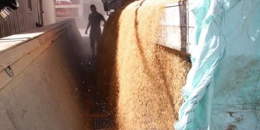 ضبط 7 طن دقيق مدعم قبل بيعه في السوق السوداء - تواصل نيوز