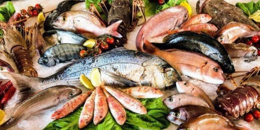 أسعار الأسماك اليوم الأحد 8 يونيو ثالث أيام عيد الأضحى - تواصل نيوز