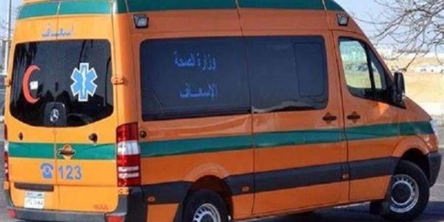 اصابة عامل بحروق نتيجة صعق كهربائي بمزرعة دواجن بالدقهلية - تواصل نيوز