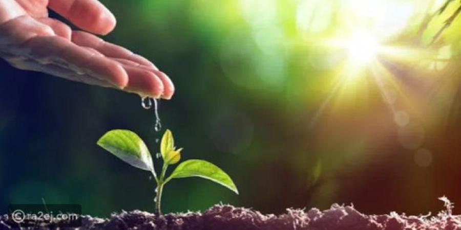 يوم البيئة العالمي 2021 - تواصل نيوز