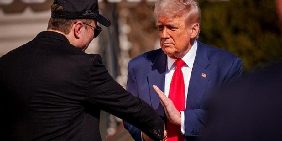 حرارة كاليفورنيا تذيب جليد الخصام بين ترامب وماسك عبر "إكس" - تواصل نيوز