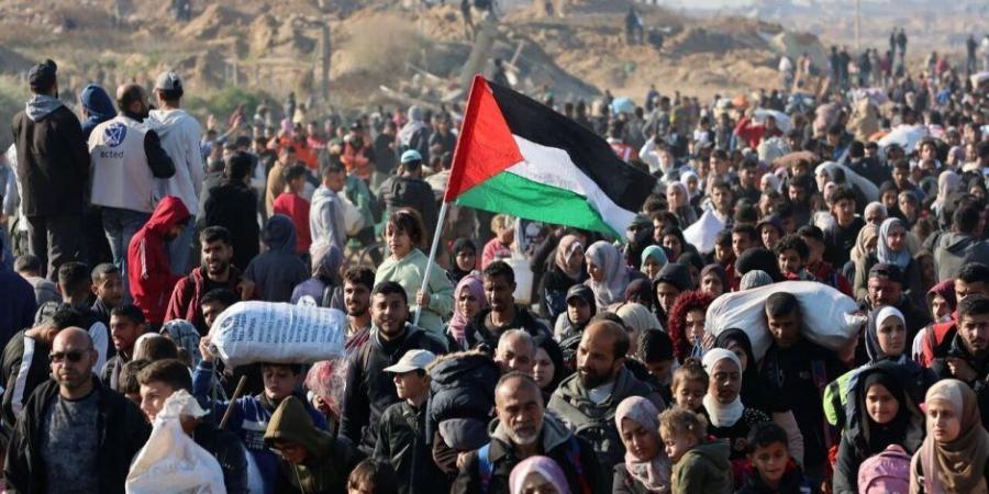 برلماني: مصر تقوم بدور إنساني نبيل من أجل إنهاء الحرب على قطاع غزة - تواصل نيوز