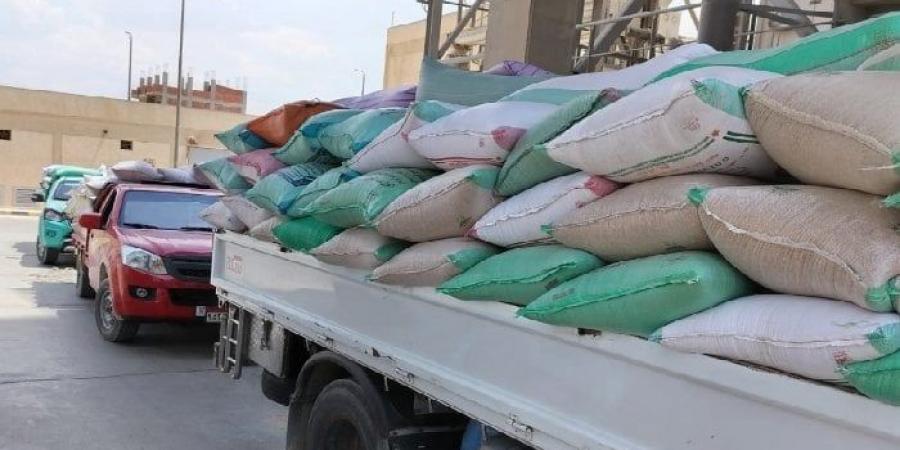 شون وصوامع البحيرة تستقبل 307 أطنان قمح من المزارعين - تواصل نيوز