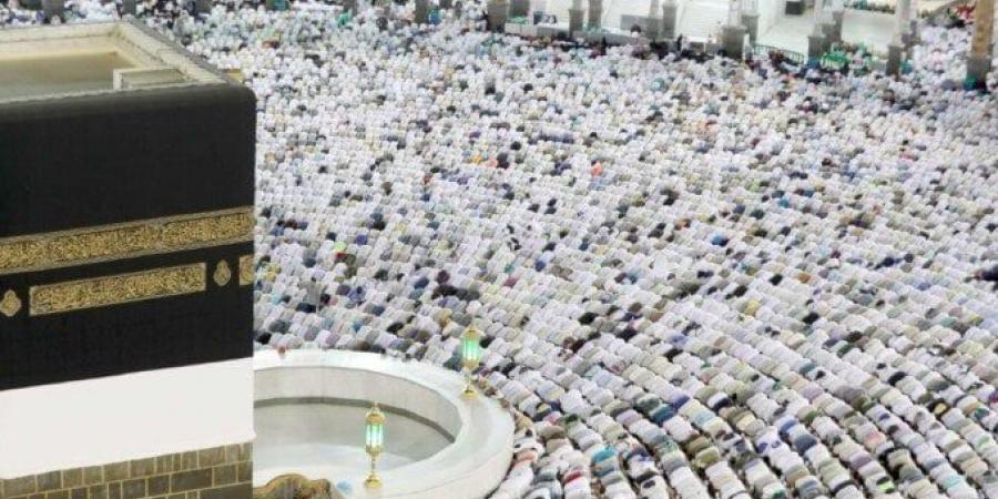 السياحة والآثار: نتابع عمليات تفويج الحجاج.. وعودة 2200 حاج حتى الآن - تواصل نيوز