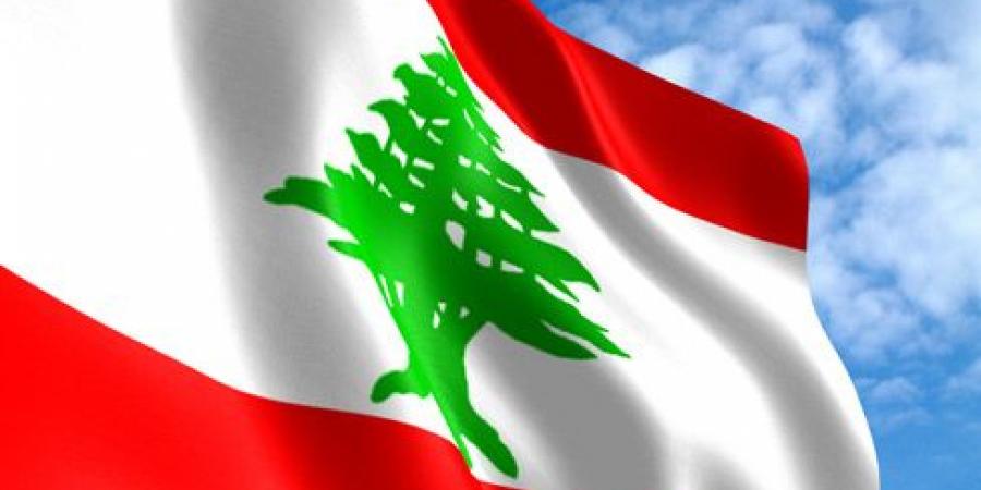 لبنان تدين الاعتداء على عنصر من قوات اليونيفيل - تواصل نيوز