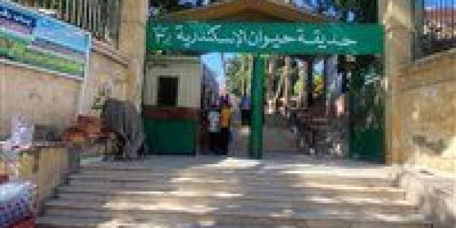 الزراعة: تم إعداد خطة لمواجهة الزحام عند بوابات حدائق الحيوانات وزيادة عدد المنافذ لتسهيل الدخول - تواصل نيوز