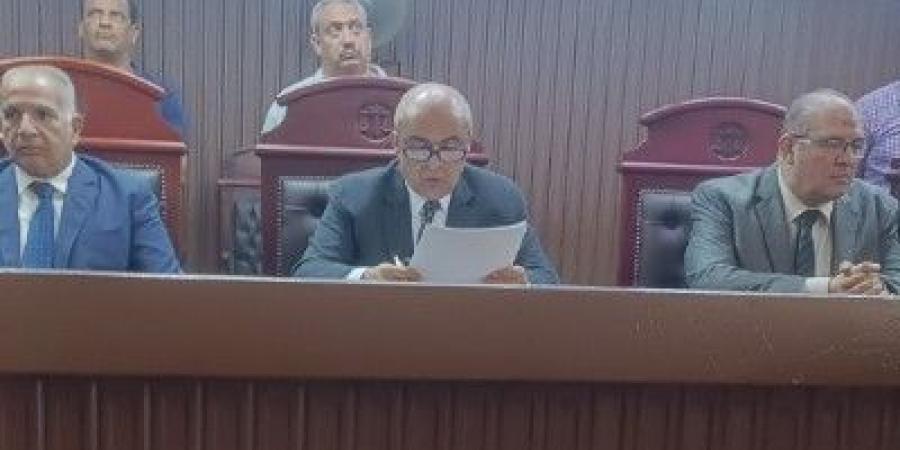 السجن المشدد 6 سنوات لسائق شرع في قتل شخص بالقليوبية - تواصل نيوز