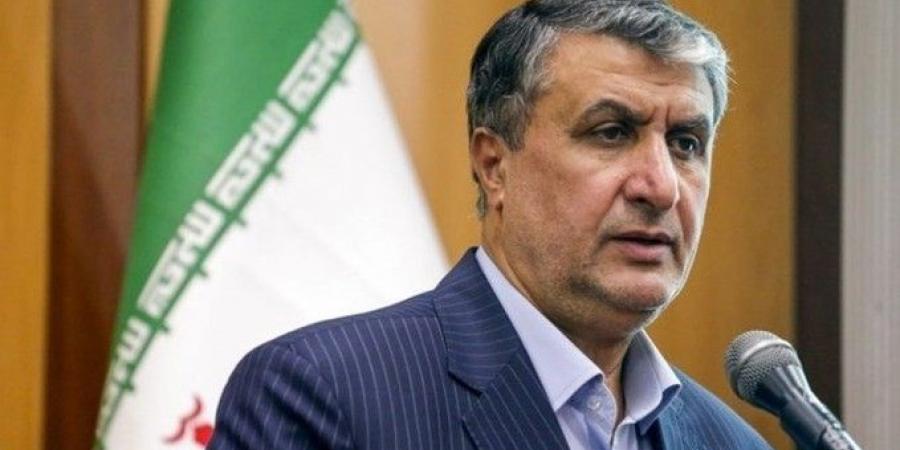 رئيس منظمة الطاقة الذرية الإيرانية: سنتخذ مجموعة من الإجراءات فور صدور قرار ضدنا في اجتماع مجلس محافظي الوكالة - تواصل نيوز