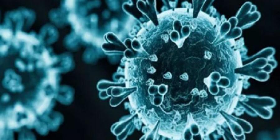 أستاذ علم الأوبئة: متحور كورونا الجديد أقل خطورة  - تواصل نيوز