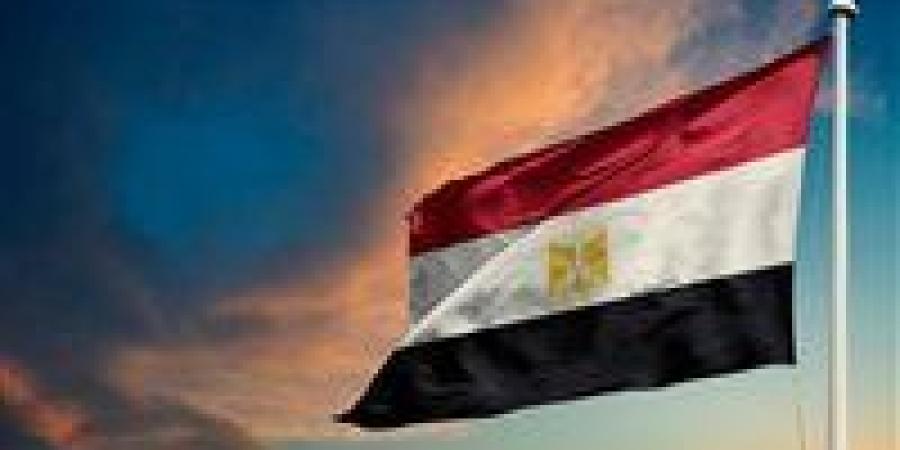 الجيل الديمقراطي: بيان الخارجية المصرية رسالة تأكيد قوية بأن السيادة الوطنية المصرية ليست محل نقاش أو مجال للمزايدة - تواصل نيوز