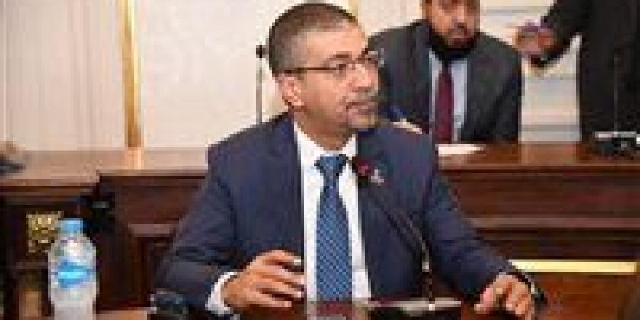 محمد البدري: بيان الخارجية بشأن الوفود الأجنبية لغزة يعكس توازن مصر بين السيادة والدور الإنساني - تواصل نيوز