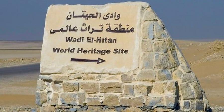وادي الحيتان: رحلة في أعماق الزمن بصحراء مصر الغربية - تواصل نيوز